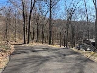 385 Kreinbrook Hill Rd, Bullskin Twp, PA 15666 - photo 42