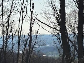 385 Kreinbrook Hill Rd, Bullskin Twp, PA 15666 - photo 43
