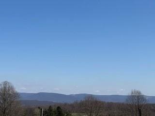 385 Kreinbrook Hill Rd, Bullskin Twp, PA 15666 - photo 44