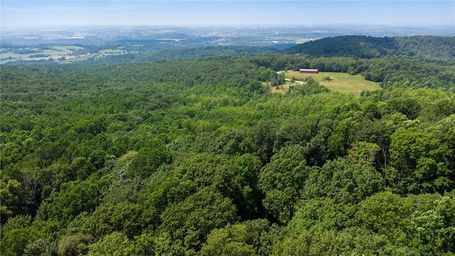 385 Kreinbrook Hill Rd, Bullskin Twp, PA 15666 - photo 48