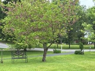 2369 Harrow Rd, Upper St Clair, PA 15241 - view of property's community with a yard