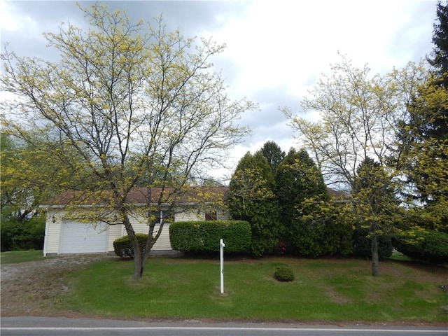 obstructed view of property featuring dirt driveway and a front lawn