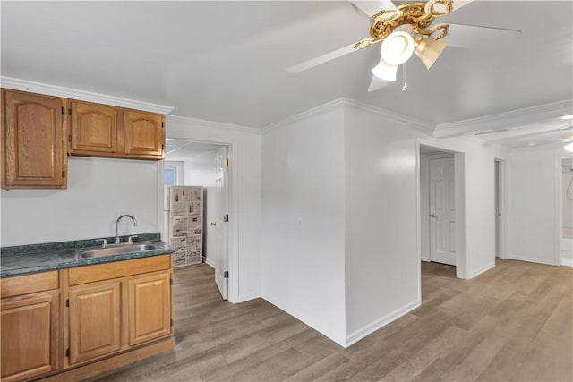 kitchen featuring crown molding, light wood-type flooring, a sink, dark countertops, and a ceiling fan