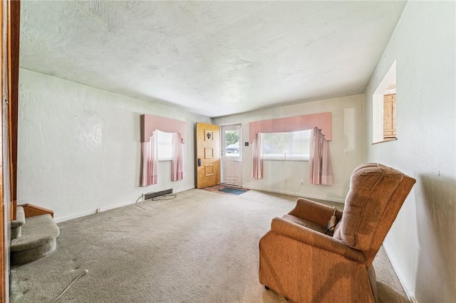 living area featuring baseboards, carpet floors, and a textured ceiling