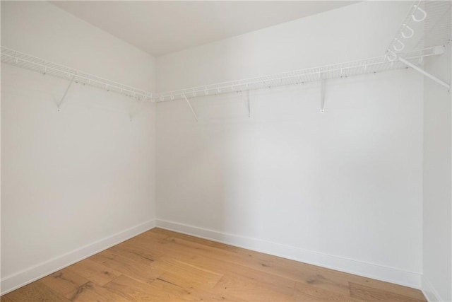 spacious closet with light wood finished floors