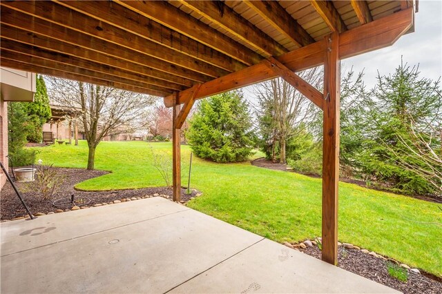 1728 Waterleaf Dr, Franklin Park, PA 15143 - view of patio