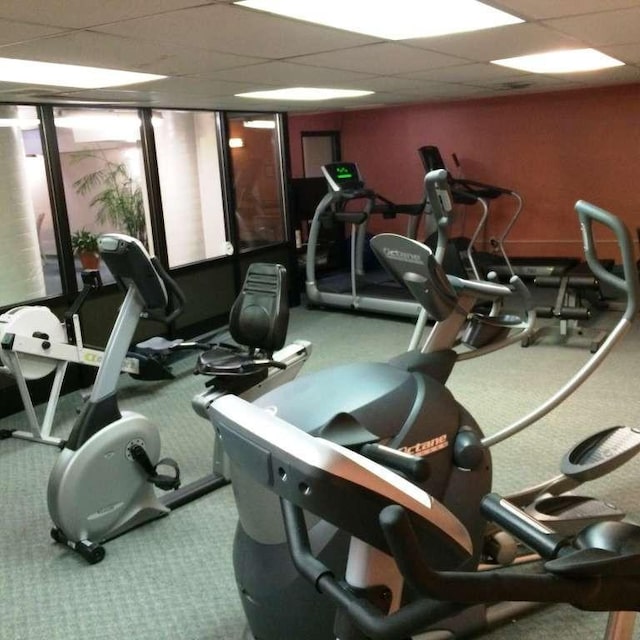 workout area featuring a paneled ceiling and carpet