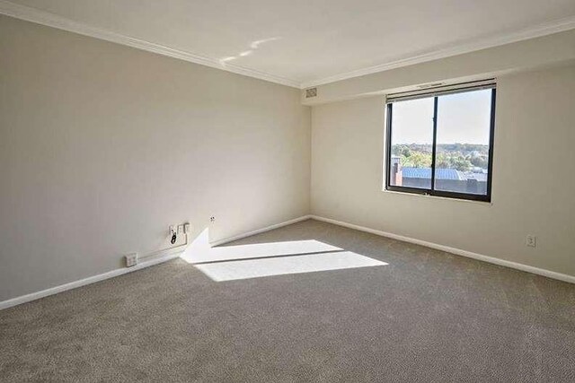 spare room with ornamental molding, carpet, and baseboards