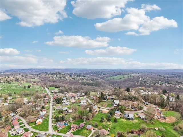 drone / aerial view