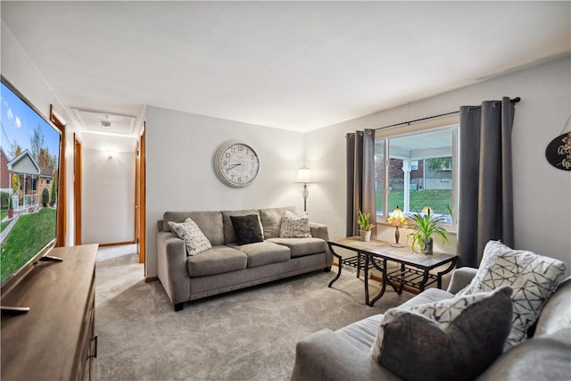 living room featuring carpet flooring and attic access