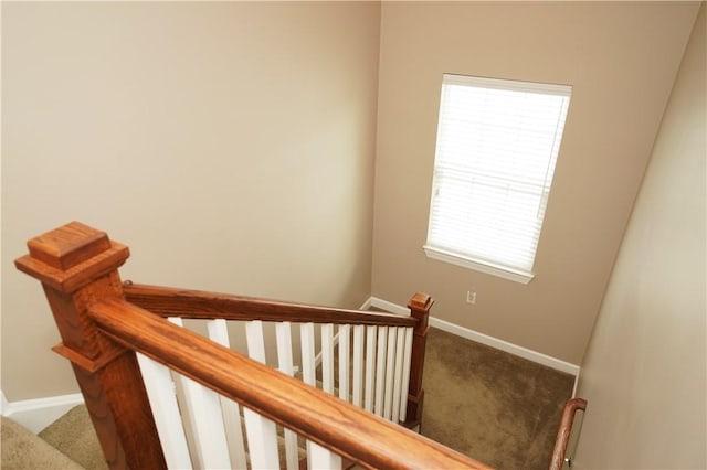 395 Wealdstone Rd, Cranberry Twp, PA 16066 - stairway with carpet flooring and baseboards