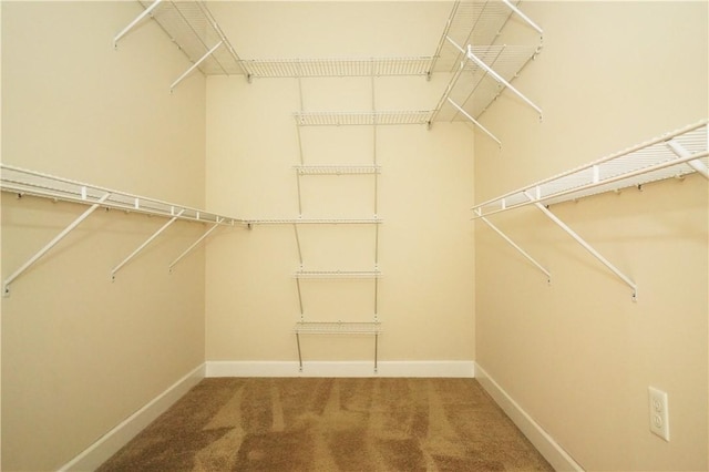 395 Wealdstone Rd, Cranberry Twp, PA 16066 - spacious closet featuring carpet floors