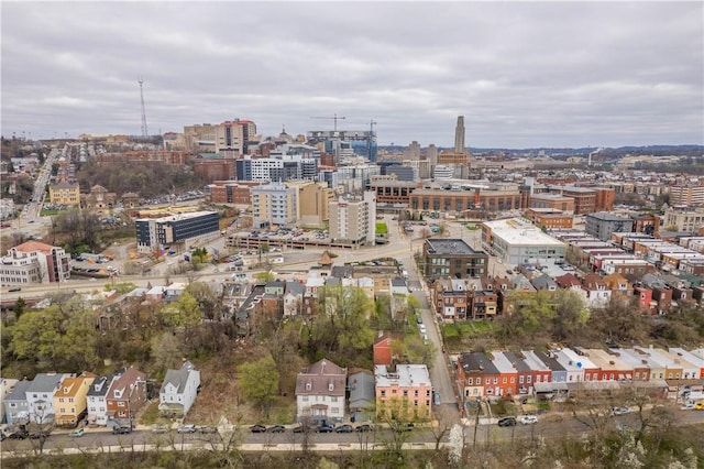 63 Lawn St, Oakland, PA 15213 - city view