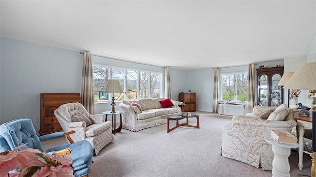 living room with carpet flooring