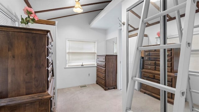 spacious closet featuring visible vents and light carpet