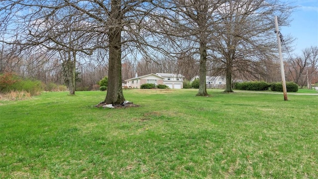 view of yard featuring a garage
