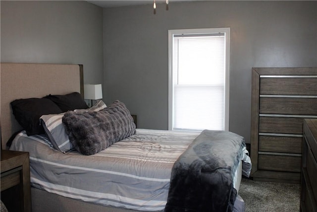 carpeted bedroom featuring multiple windows