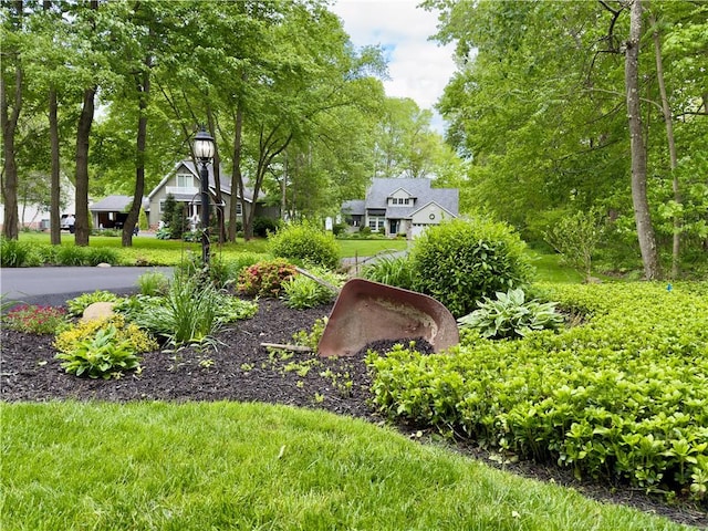 788 Latonka Dr, Coolspring Twp, PA 16137 - view of yard featuring view of scattered trees