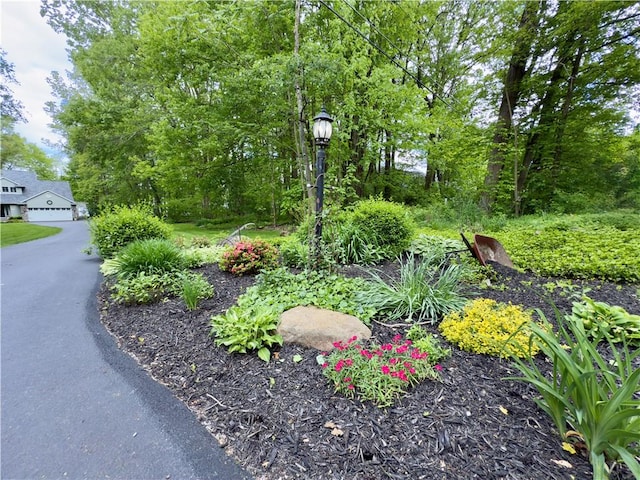 788 Latonka Dr, Coolspring Twp, PA 16137 - view of yard
