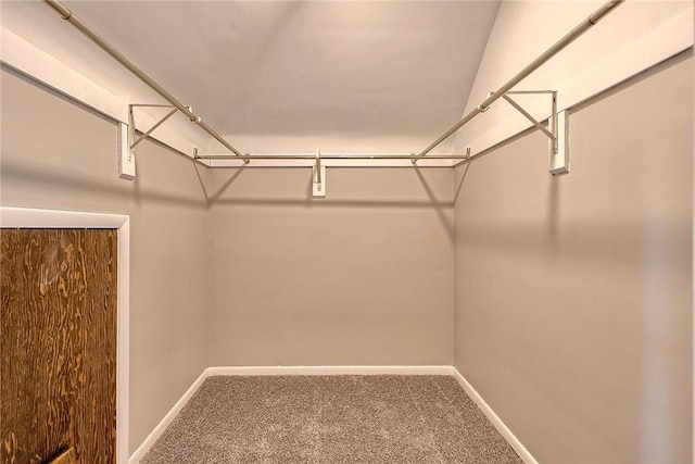 walk in closet with carpet floors