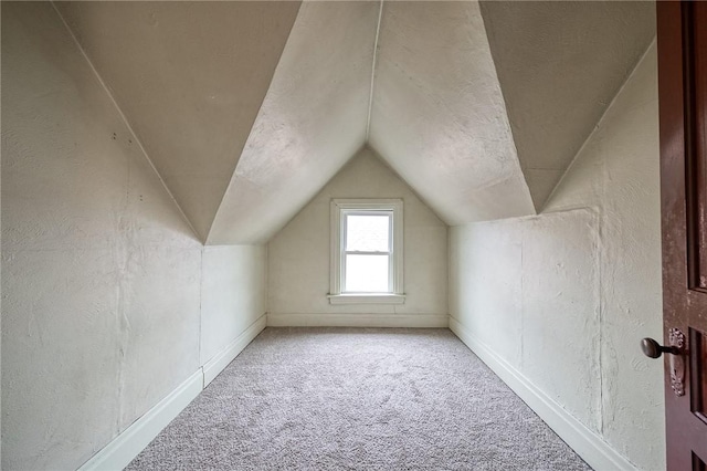 1223 Chelton Ave, Brookline, PA 15226 - additional living space featuring lofted ceiling, baseboards, and carpet