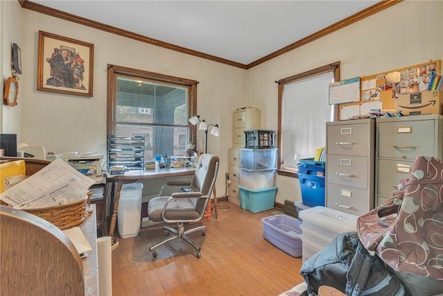338 4th St, Beaver, PA 15009 - office space featuring baseboards, crown molding, and wood finished floors