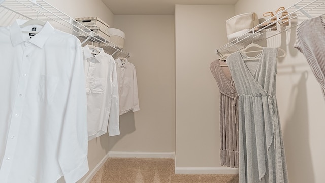 303 Cherry Tree Dr, Twp Of But Sw, PA 16001 - walk in closet with carpet flooring