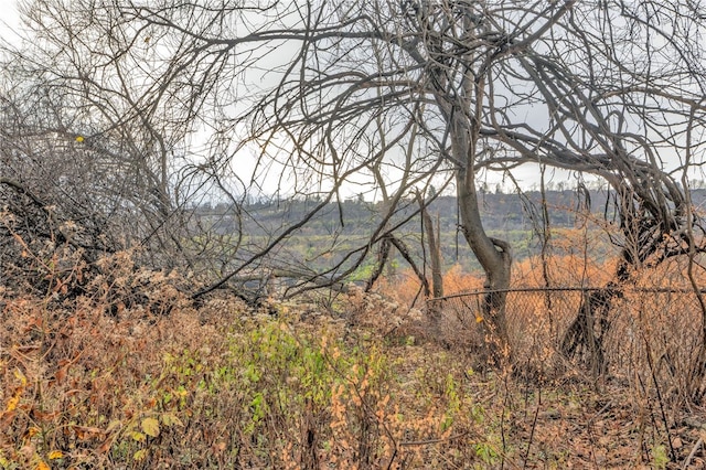 view of nature