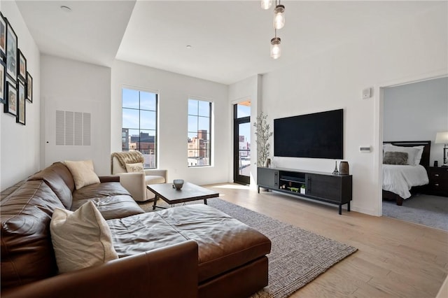 living room featuring wood finished floors