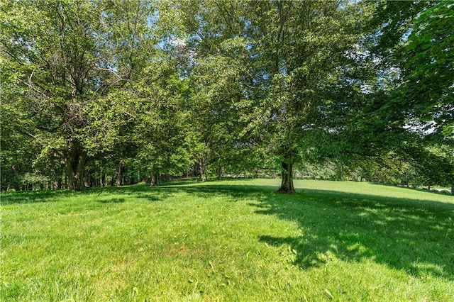 620 N Franklin Ave, Somerset Boro, PA 15501 - photo 31