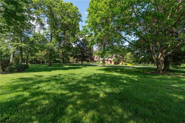 620 N Franklin Ave, Somerset Boro, PA 15501 - photo 34