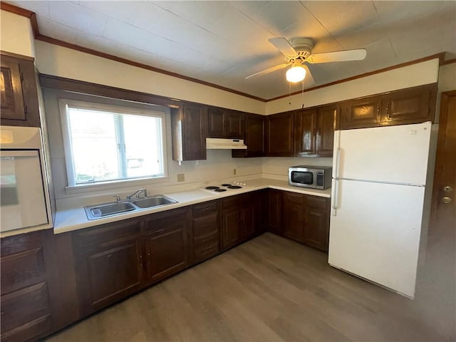 kitchen with a sink, ornamental molding, white appliances, under cabinet range hood, and light wood finished floors