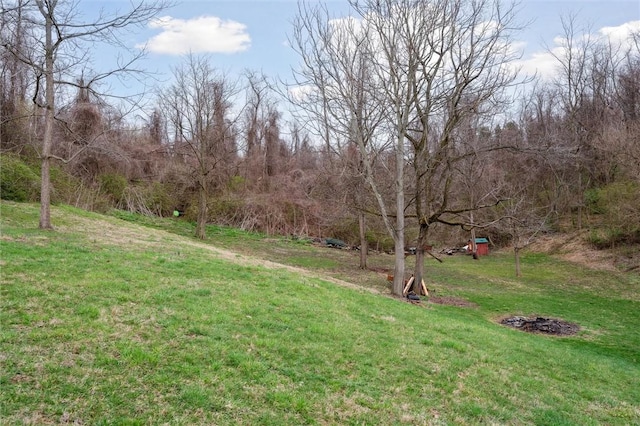 view of yard