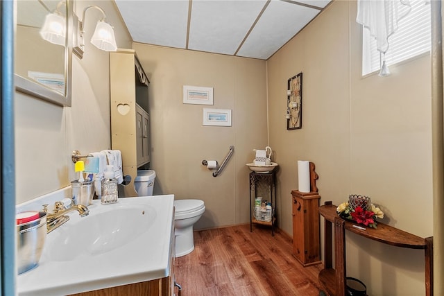 16 Elm St, Burgettstown Boro, PA 15021 - bathroom featuring toilet, wood finished floors, and vanity