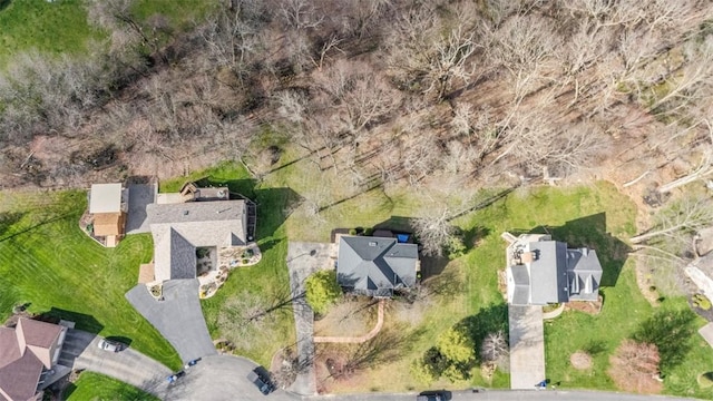 drone / aerial view