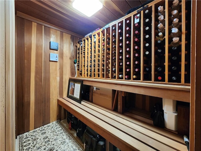 288 Latonka Dr, Jackson Twp Mer, PA 16137 - wine room featuring wood walls