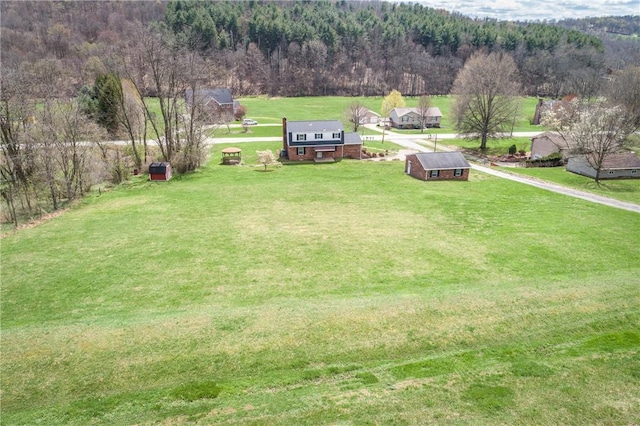 view of yard featuring a rural view, a forest view, and an outbuilding