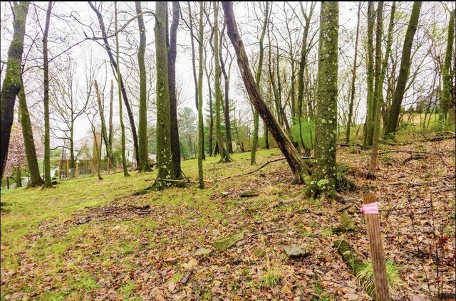 112 Carol Dr, Peters Twp, PA 15317 - view of undeveloped land