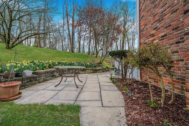 112 Carol Dr, Peters Twp, PA 15317 - view of patio
