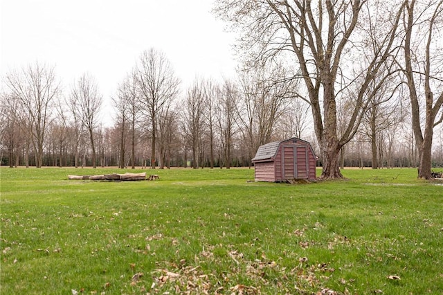 view of yard with a storage shed and an outbuilding