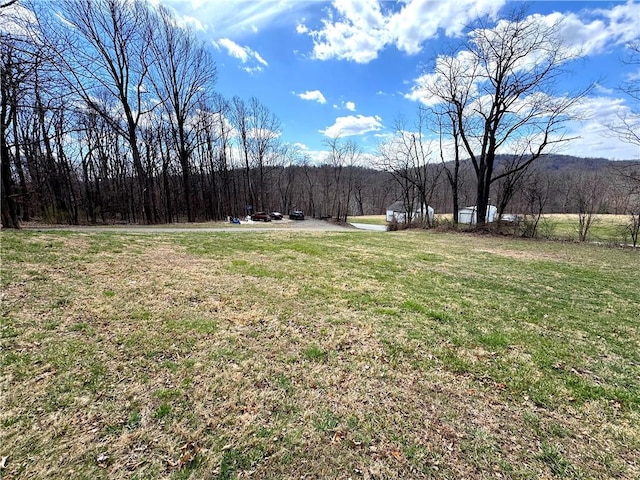 604 Loyalhanna Dam Rd, Loyalhanna, PA 15681 - photo 2