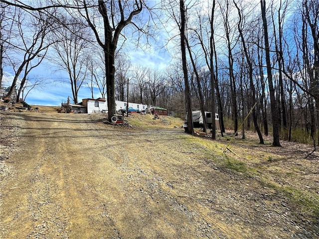 604 Loyalhanna Dam Rd, Loyalhanna, PA 15681 - photo 4