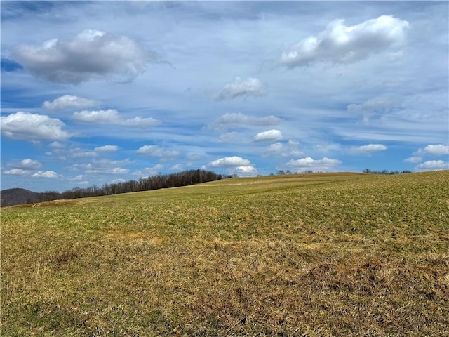 604 Loyalhanna Dam Rd, Loyalhanna, PA 15681 - photo 6