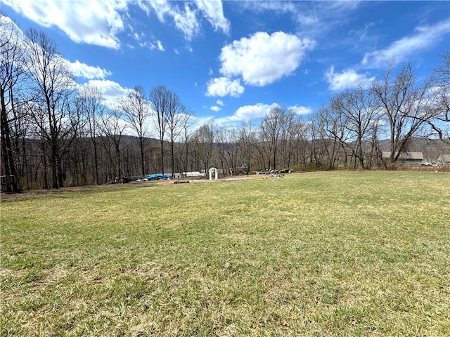 604 Loyalhanna Dam Rd, Loyalhanna, PA 15681 - photo 7