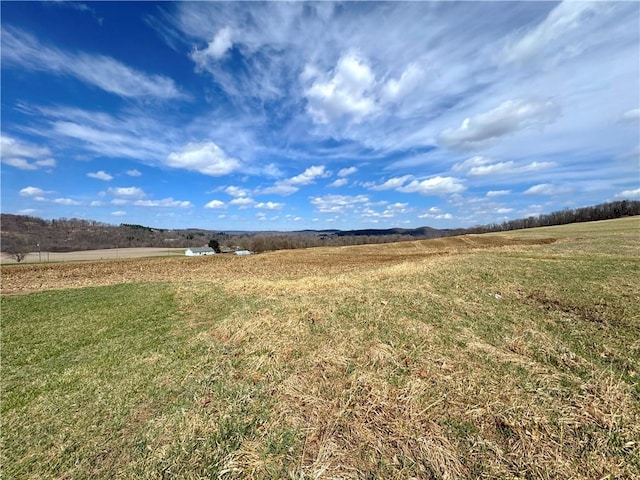 604 Loyalhanna Dam Rd, Loyalhanna, PA 15681 - photo 8