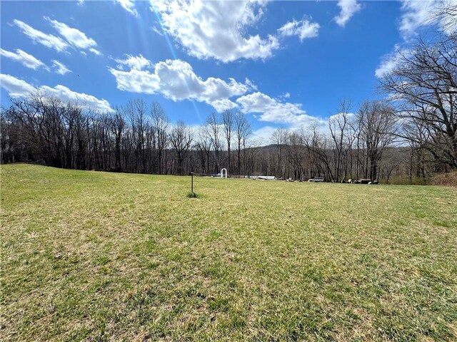 604 Loyalhanna Dam Rd, Loyalhanna, PA 15681 - photo 10