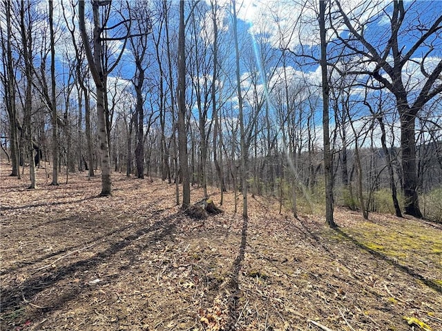 604 Loyalhanna Dam Rd, Loyalhanna, PA 15681 - photo 12