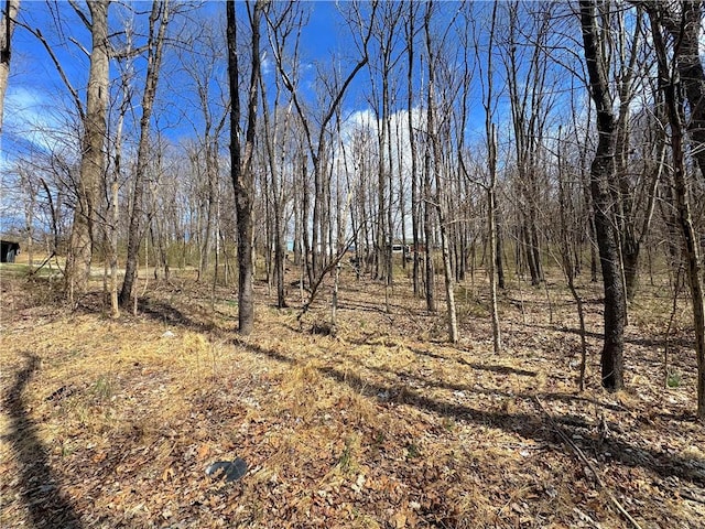604 Loyalhanna Dam Rd, Loyalhanna, PA 15681 - photo 13