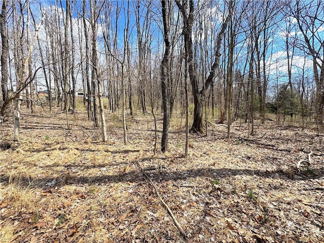 604 Loyalhanna Dam Rd, Loyalhanna, PA 15681 - photo 14