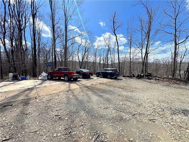 604 Loyalhanna Dam Rd, Loyalhanna, PA 15681 - photo 15